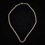 1286 1577 PEARL NECKLACE